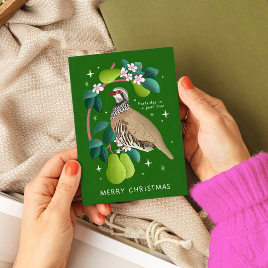 Partridge in Pear Tree Christmas Card