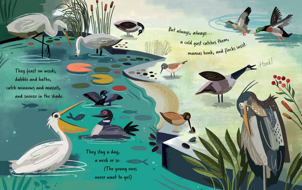Follow the Flyway - Children's Book