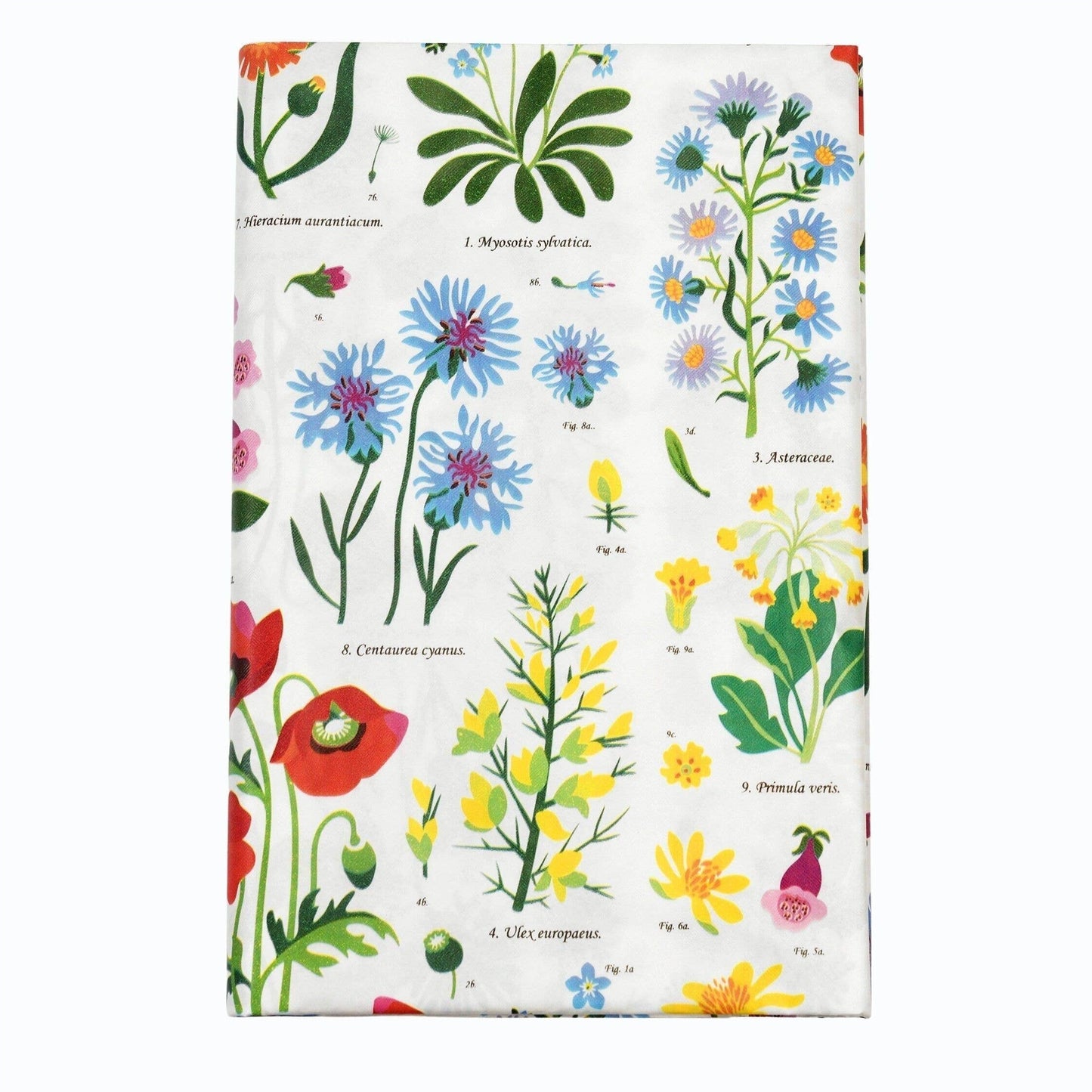 Paper Tablecloth - Wild Flowers