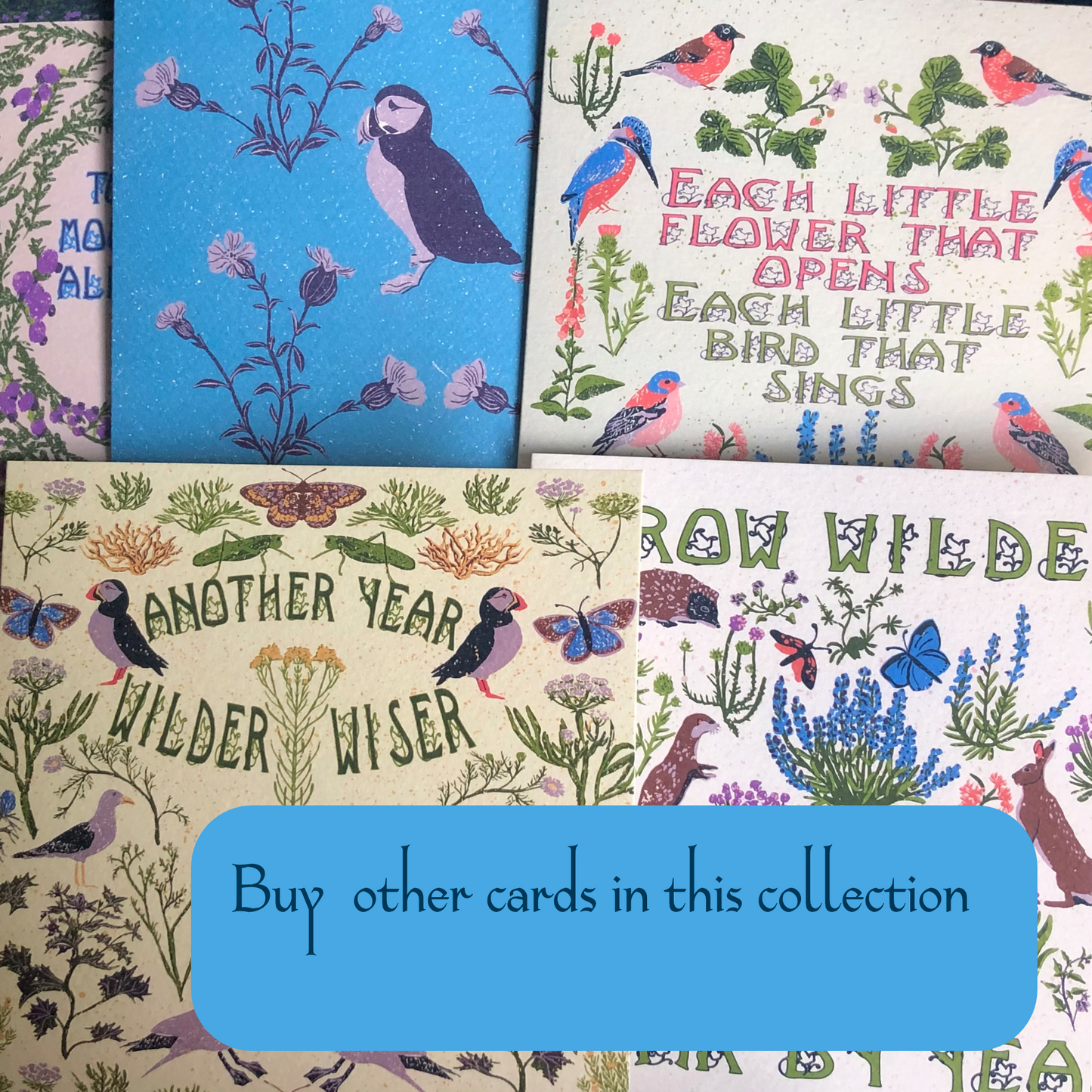 Every Occasion Card of Pretty British Wildlife